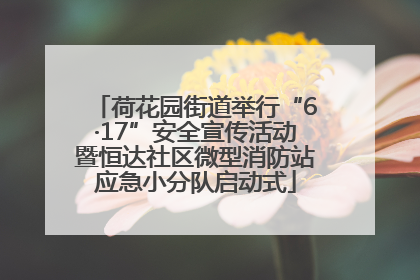 荷花园街道举行“6·17”安全宣传活动暨恒达社区微型消防站应急小分队启动式