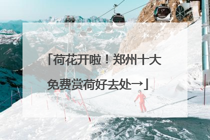 荷花开啦！郑州十大免费赏荷好去处→