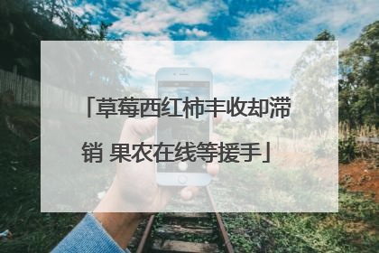 草莓西红柿丰收却滞销 果农在线等援手