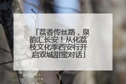 荔香传丝路，泉韵汇长安！从化荔枝文化季西安行开启双城甜蜜对话