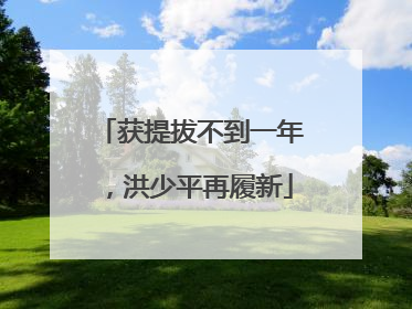 获提拔不到一年，洪少平再履新