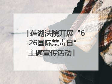 莲湖法院开展“6·26国际禁毒日”主题宣传活动