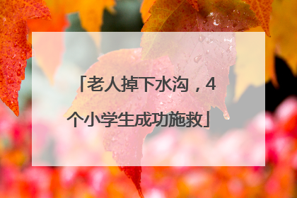 老人掉下水沟，4个小学生成功施救
