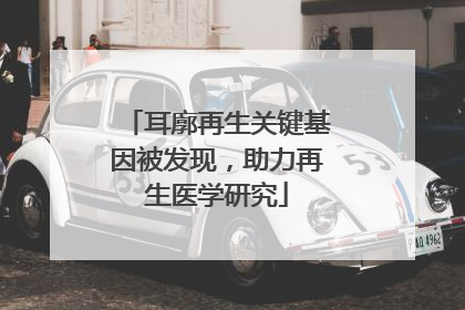 耳廓再生关键基因被发现，助力再生医学研究