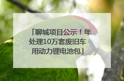 聊城项目公示！年处理10万套废旧车用动力锂电池包