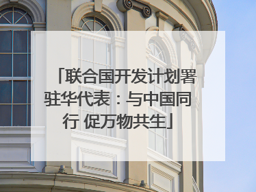联合国开发计划署驻华代表：与中国同行 促万物共生