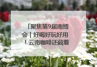 聚焦第9届南博会｜好喝好玩好用！云南咖啡还藏着多少惊喜？