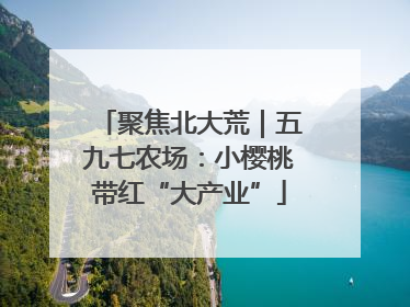 聚焦北大荒｜五九七农场：小樱桃带红“大产业”