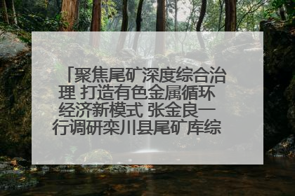 聚焦尾矿深度综合治理 打造有色金属循环经济新模式 张金良一行调研栾川县尾矿库综合治理工作