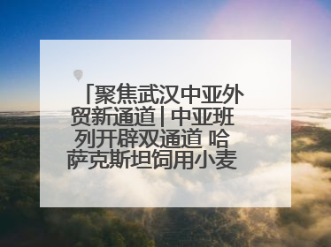 聚焦武汉中亚外贸新通道│中亚班列开辟双通道 哈萨克斯坦饲用小麦将抵鄂