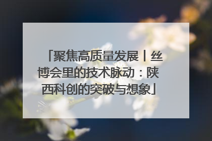 聚焦高质量发展丨丝博会里的技术脉动：陕西科创的突破与想象