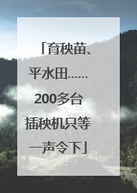 育秧苗、平水田……200多台插秧机只等一声令下