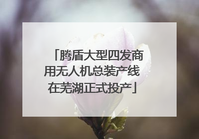 腾盾大型四发商用无人机总装产线在芜湖正式投产