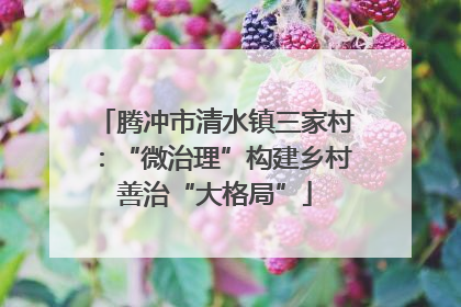 腾冲市清水镇三家村：“微治理”构建乡村善治“大格局”