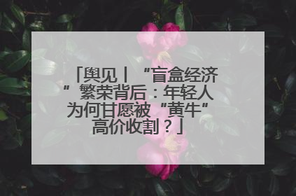 舆见丨“盲盒经济”繁荣背后：年轻人为何甘愿被“黄牛”高价收割？