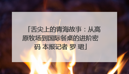 舌尖上的青海故事：从高原牧场到国际餐桌的进阶密码 本报记者 罗 珺