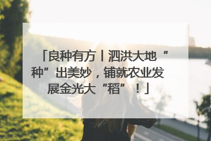 良种有方丨泗洪大地“种”出美妙，铺就农业发展金光大“稻”！