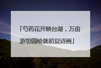 芍药花开映台湖，万亩游憩园绘就初夏诗画