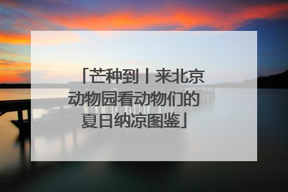 芒种到丨来北京动物园看动物们的夏日纳凉图鉴