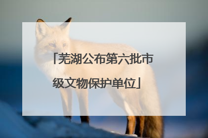 芜湖公布第六批市级文物保护单位