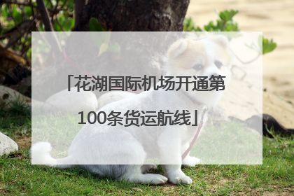 花湖国际机场开通第100条货运航线