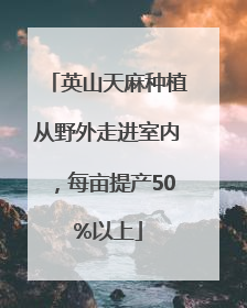 英山天麻种植从野外走进室内，每亩提产50%以上