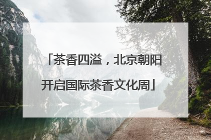茶香四溢，北京朝阳开启国际茶香文化周
