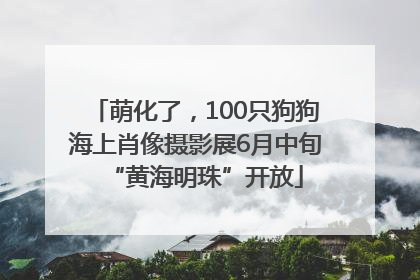 萌化了，100只狗狗海上肖像摄影展6月中旬“黄海明珠”开放