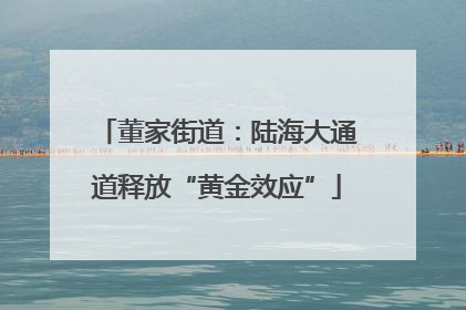 董家街道：陆海大通道释放“黄金效应”