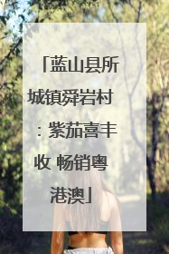 蓝山县所城镇舜岩村：紫茄喜丰收 畅销粤港澳