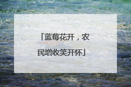 蓝莓花开，农民增收笑开怀