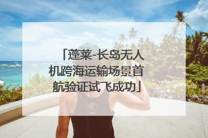 蓬莱-长岛无人机跨海运输场景首航验证试飞成功