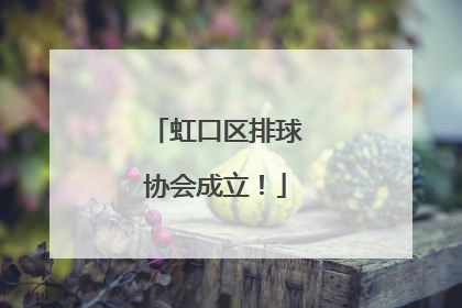 虹口区排球协会成立！