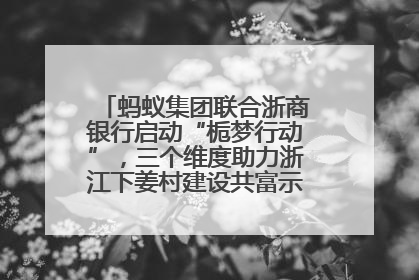 蚂蚁集团联合浙商银行启动“栀梦行动”，三个维度助力浙江下姜村建设共富示范区示范点