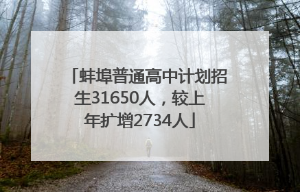 蚌埠普通高中计划招生31650人，较上年扩增2734人