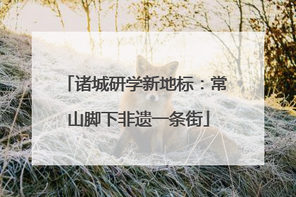 诸城研学新地标：常山脚下非遗一条街