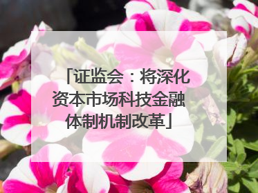 证监会：将深化资本市场科技金融体制机制改革