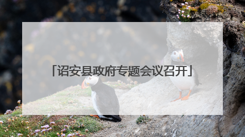 诏安县政府专题会议召开
