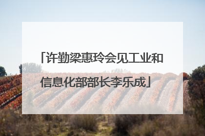 许勤梁惠玲会见工业和信息化部部长李乐成