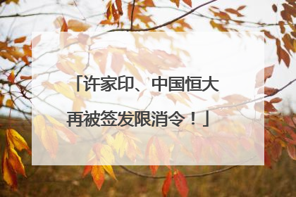 许家印、中国恒大再被签发限消令！