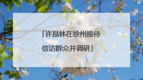 许昆林在徐州接待信访群众并调研