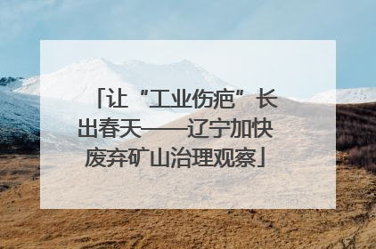 让“工业伤疤”长出春天——辽宁加快废弃矿山治理观察