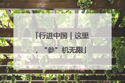 行进中国｜这里，“参”机无限