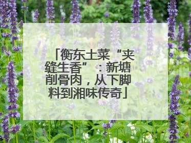 衡东土菜“夹缝生香”：新塘削骨肉，从下脚料到湘味传奇