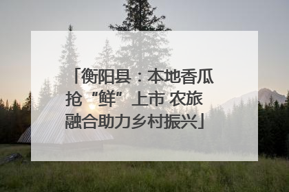 衡阳县：本地香瓜抢“鲜”上市 农旅融合助力乡村振兴