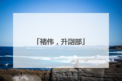 褚伟，升副部