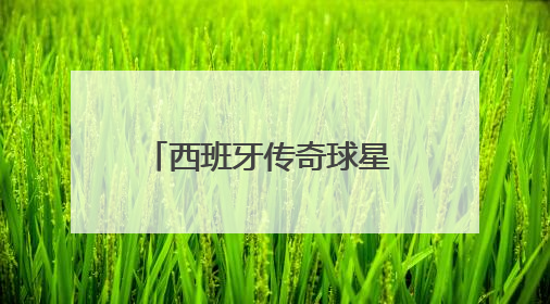 西班牙传奇球星 比利亚莅临郑州