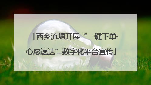 西乡流塘开展“一键下单·心愿速达”数字化平台宣传