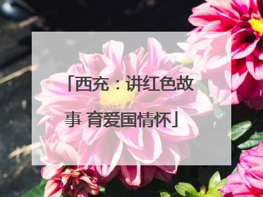 西充：讲红色故事 育爱国情怀