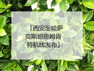西安至哈萨克斯坦奇姆肯特航线发布
